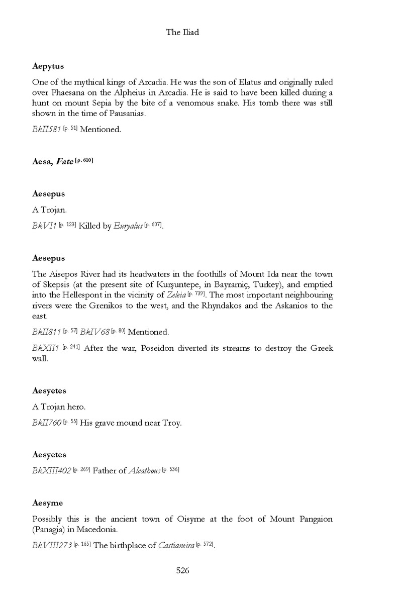 The Iliad - Page 520